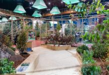 florovivaismo europeo