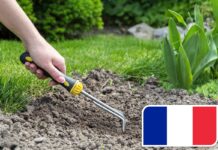 Stabile il giardinaggio in Francia nel 2025, cresce l’e-commerce giardinaggio in Francia