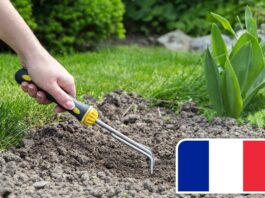 Stabile il giardinaggio in Francia nel 2025, cresce l’e-commerce giardinaggio in Francia