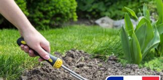 giardinaggio in Francia