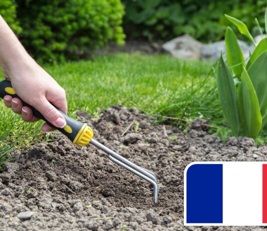 giardinaggio in Francia