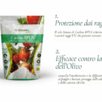Caolino BPLN per la protezione delle piante durante l’estate Caolino