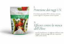 Caolino