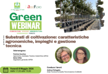 Green Webinar