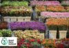 Royal Flora Holland nel 2025