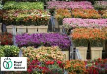 Royal Flora Holland nel 2025