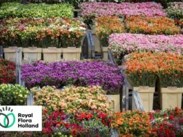 Royal Flora Holland nel 2025