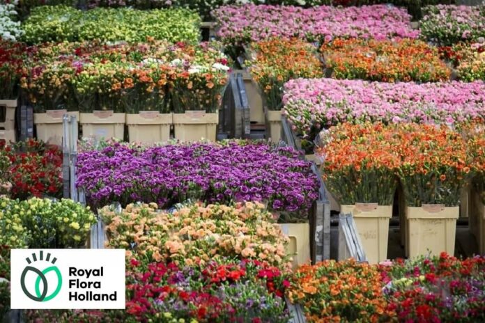 Royal Flora Holland nel 2025