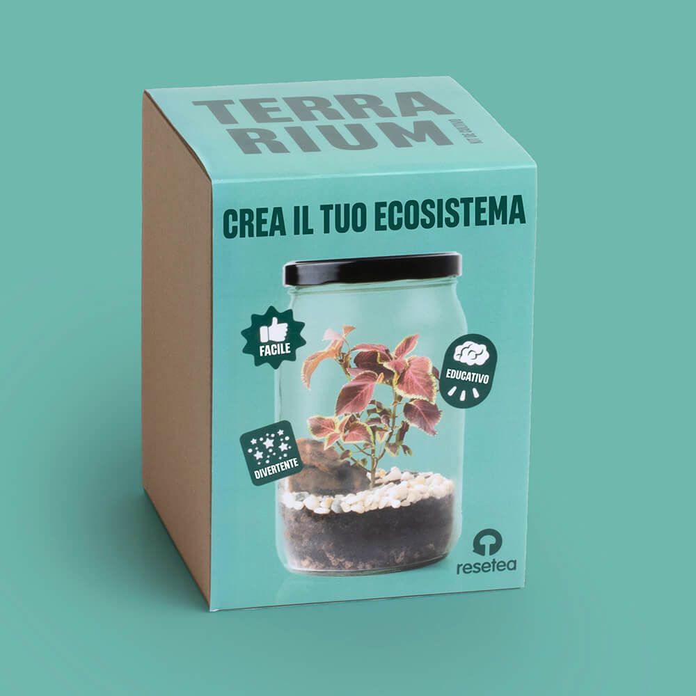 idee innovative per il giardino - Resetea Terrarium