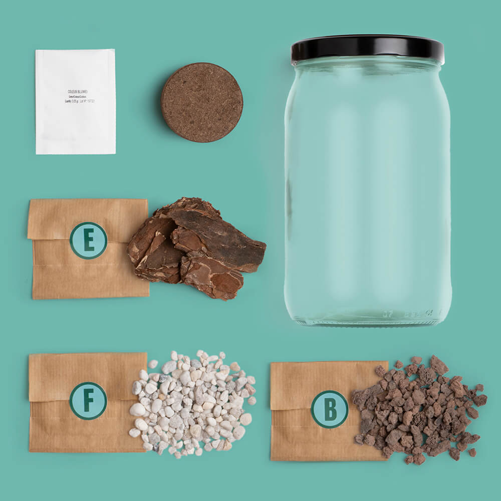 idee innovative per il giardino - Resetea Terrarium