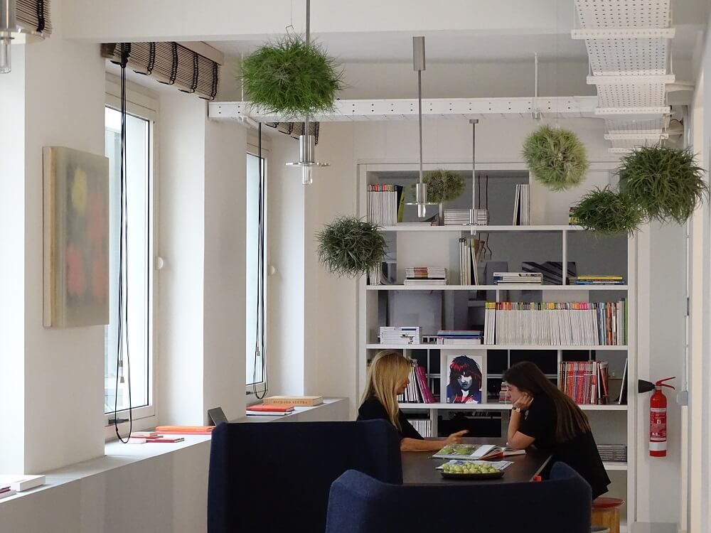 idee innovative per il giardino - Tillandsia WALL