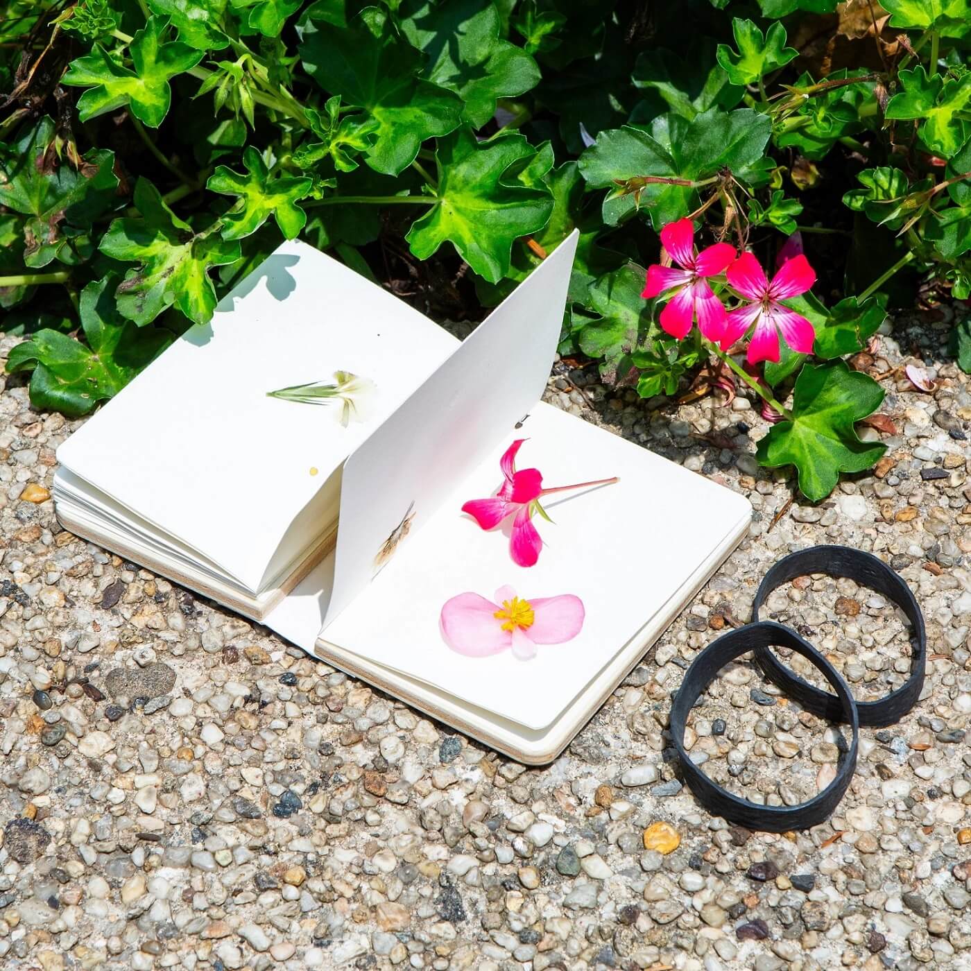 idee innovative per il giardino - kikkerland