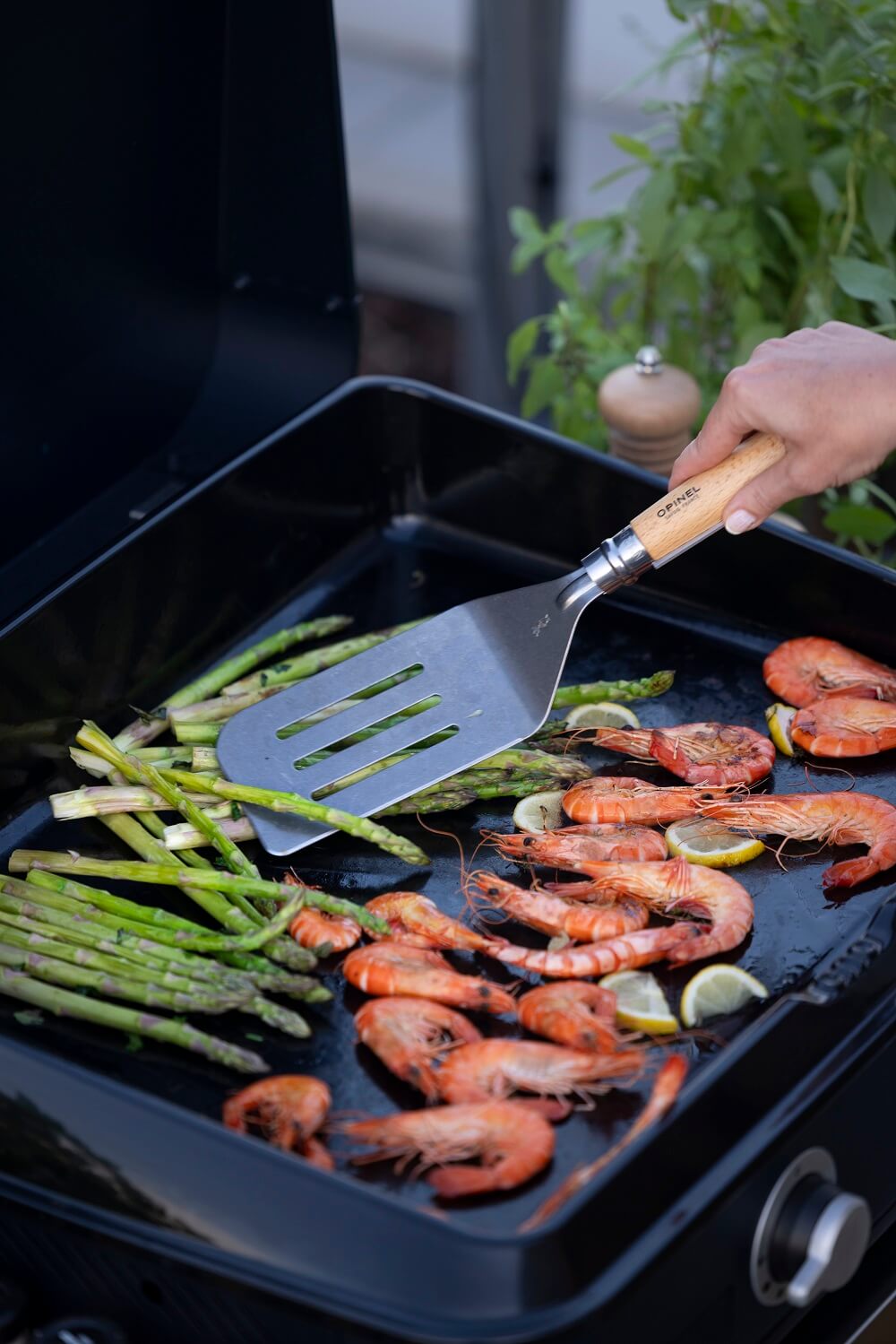 idee innovative per il giardino - opinel 