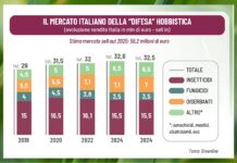mercato hobbistico della difesa