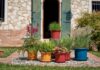 Collezione di vasi Geo, resistenti e versatili Geo
