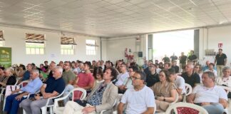 Meeting estivo di Aicg
