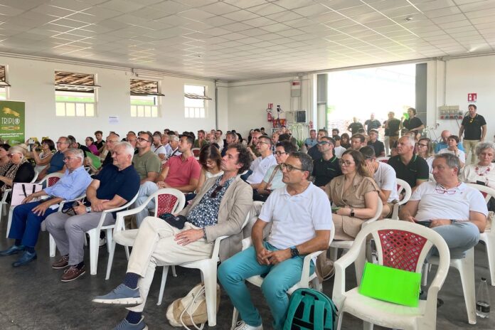 Meeting estivo di Aicg