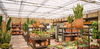 Alla scoperta di Casa Agricola: intervista a Giacomo e Gabriele Brusa casa agricola