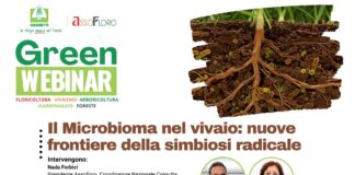 Green Webinar di Assofloro: il microbioma nel vivaio e le nuove frontiere della simbiosi radicale Green Webinar di Assofloro