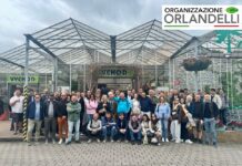 Organizzazione Orlandelli ci racconta il viaggio studio a Praga di Aicg viaggio studio a Praga
