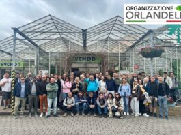 Organizzazione Orlandelli ci racconta il viaggio studio a Praga di Aicg viaggio studio a Praga