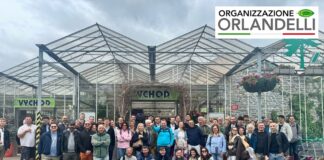 viaggio studio a Praga