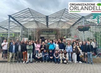 Organizzazione Orlandelli ci racconta il viaggio studio a Praga di Aicg viaggio studio a Praga