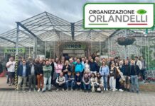 viaggio studio a Praga