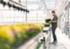 Aumento dell’Iva su fiori e piante: le imprese olandesi in allarme Aumento dell’Iva su fiori e piante