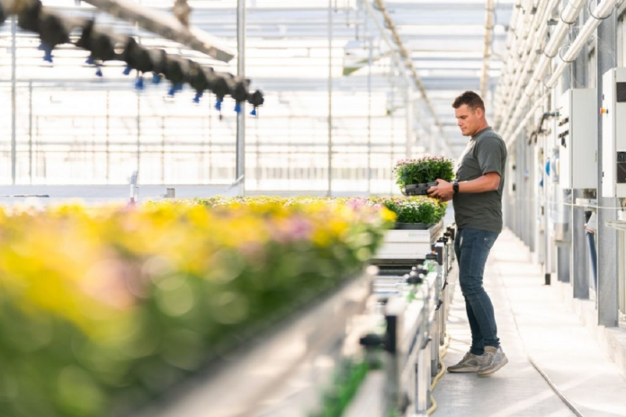 Aumento dell’Iva su fiori e piante