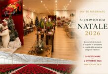 Showroom Natale di Pagano Fiori