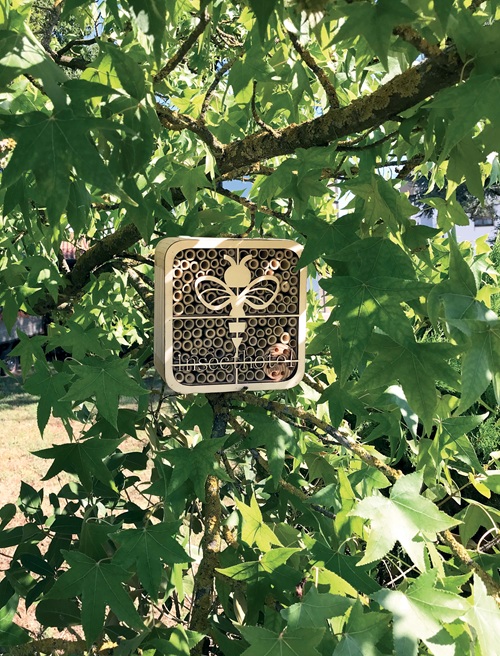 casette per insetti