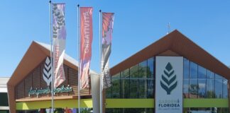 floridea
