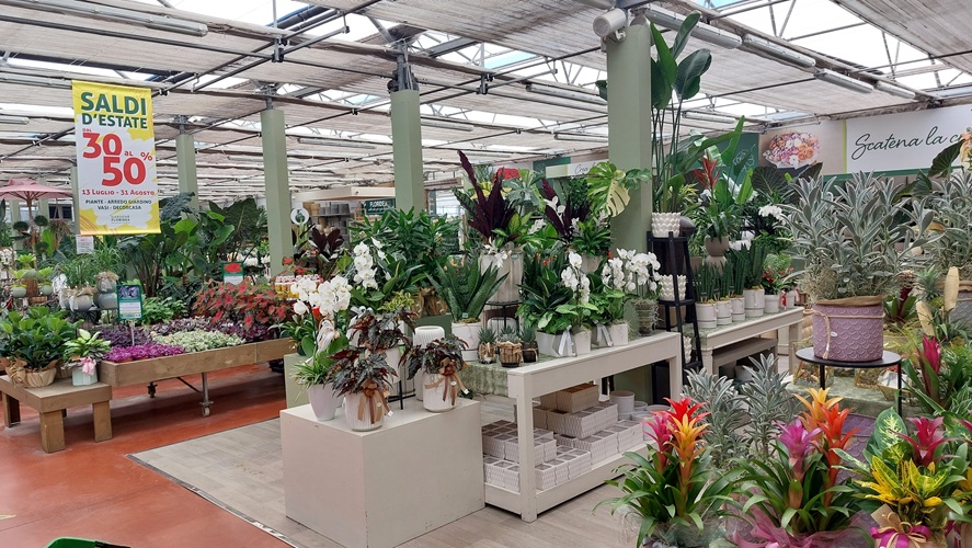 floridea